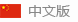 中文